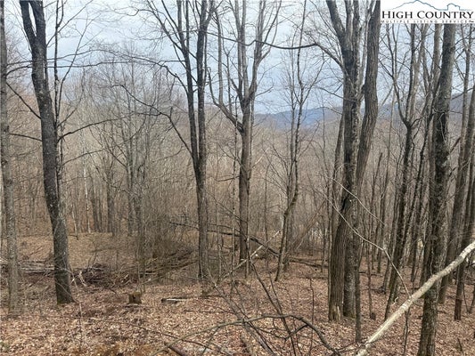 22 JEWEL LN, NEWLAND, NC 28657 - Image 971dbecb96afa1b4b76e4ae01ef2b121/1266646525