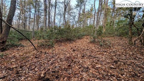 Photo of Lot 29 Walden Lane, West Jefferson, NC 28694 (MLS # 259685)