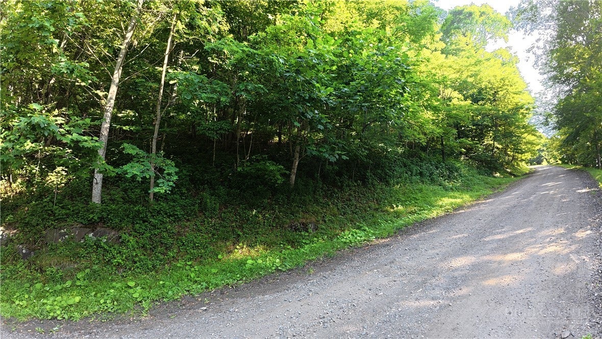 TBD Lot B5 Little Tree Road