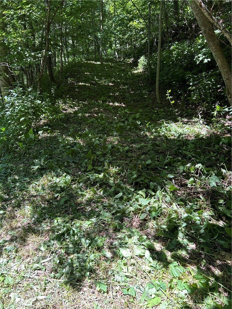 TBD Lot B5 Little Tree Road