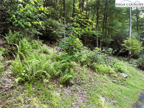 Photo of 523 Pinnacle Ridge Road, Beech Mountain, NC 28604 (MLS # 250886)