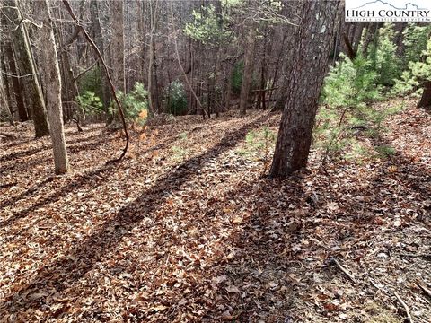 Photo of TBD Bear Paw Road Road, Deep Gap, NC 28618 (MLS # 248104)