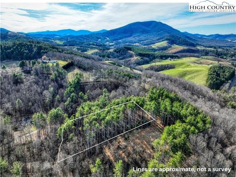 Photo of TBA Pine Springs Dr, Jefferson, NC 28640 (MLS # 260684)