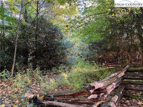 Photo of TBD Winterberry Trail, Boone, NC 28607 (MLS # 255069)