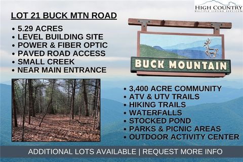 Photo of Lot 21 Buck Mountain Road, Purlear, NC 28665 (MLS # 259344)