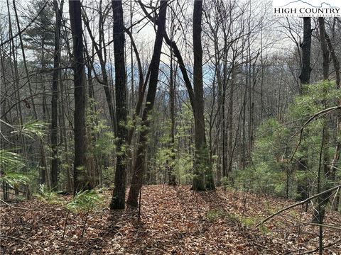 Photo of Lot 21 Buck Mountain Road, Purlear, NC 28665 (MLS # 259344)