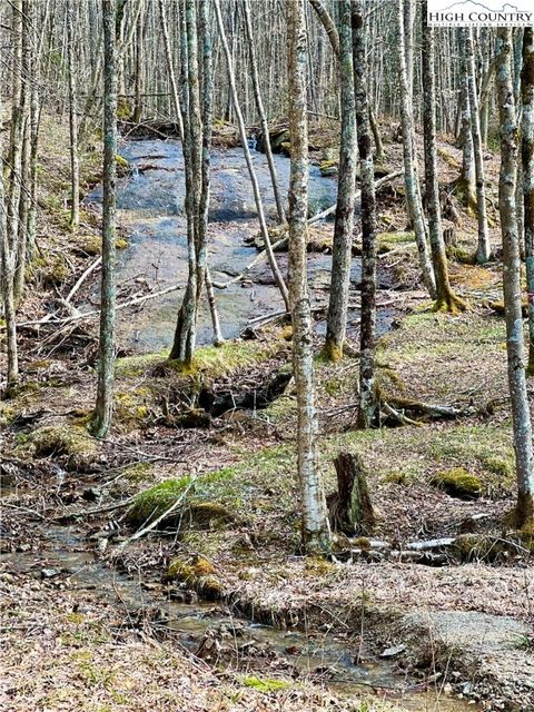 Photo of ES-61 Rippling Waters Trail, Banner Elk, NC 28604 (MLS # 243527) Photo of ES-61 Rippling Waters Trail, Banner Elk, NC 28604 (MLS # 243527)