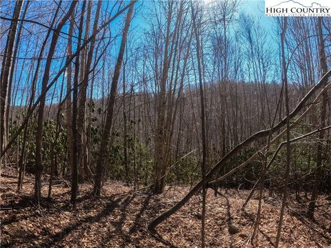 Vacant Land For Sale - LOT 99 Beaver Dam Road<br/> Avery County, Elk Park, NC 28622