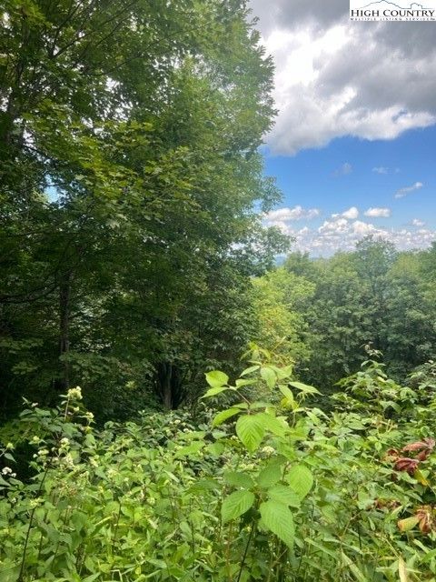 Photo of TBD Doe Ridge Road, Boone, NC 28607 (MLS # 245338)