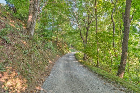 Photo of LOTS 7 & 8 SAINT MARKS Road, Lenoir, NC 28645 (MLS # 263952)