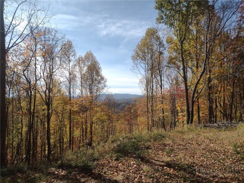Photo of TBD N US Hwy 421, Zionville, NC 28698 (MLS # 262834)