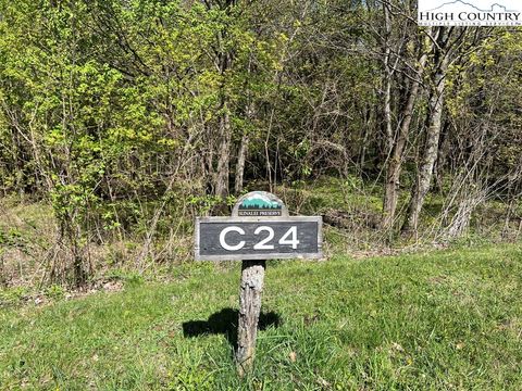 Photo of Lots C24 & C33 Buffalo Nvno, Zionville, NC 28698 (MLS # 243168)