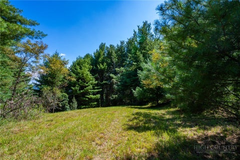 Photo of 257 Alta Vista Lane, Sparta, NC 28675 (MLS # 264183)