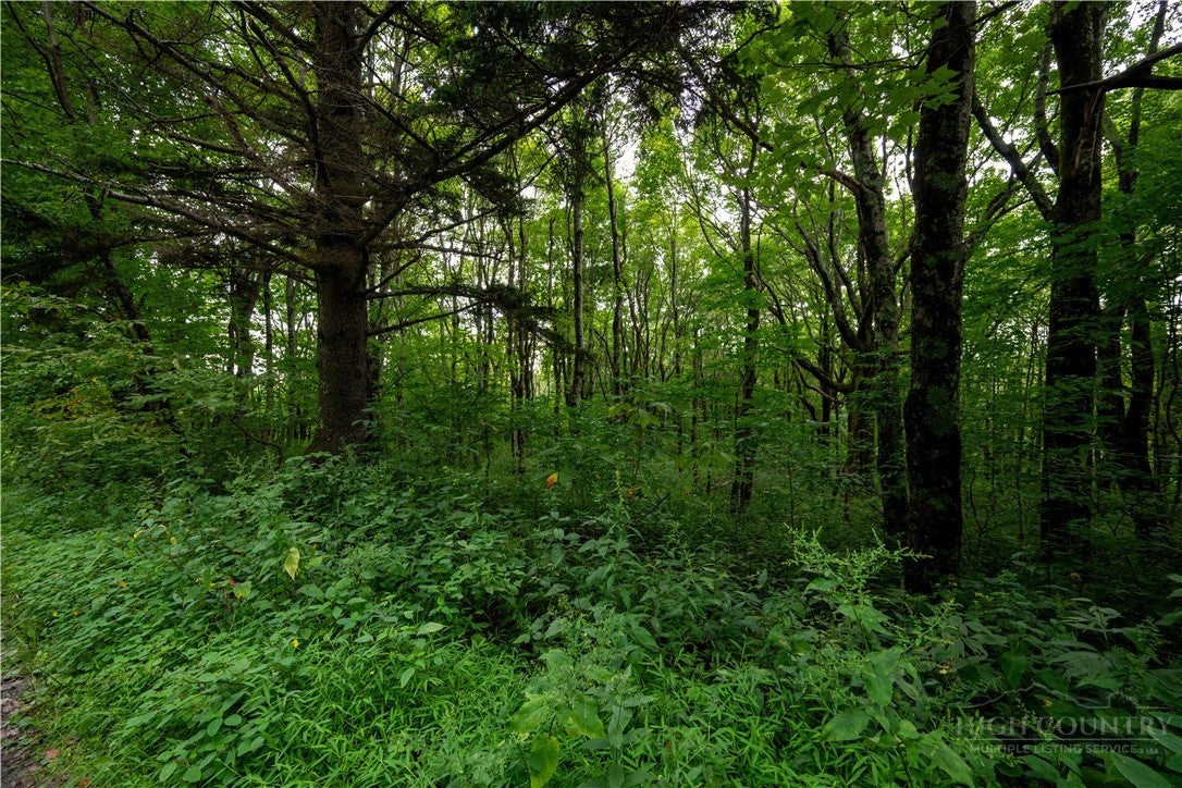 Lot 13 Wild Apple Drive