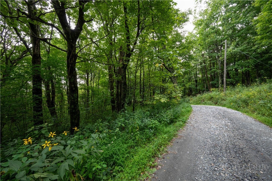 Lot 13 Wild Apple Drive