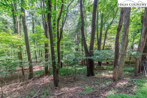 Photo of TBD Blanwood Drive, Boone, NC 28607 (MLS # 256634)