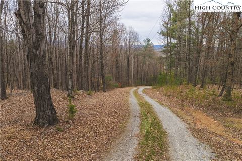 Photo of TBD Lot 1 All Healing Springs Road, Taylorsville, NC 28681 (MLS # 260916)