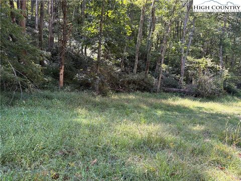 Photo of TBD Grouse Covert Rd, Boone, NC 28607 (MLS # 258060)
