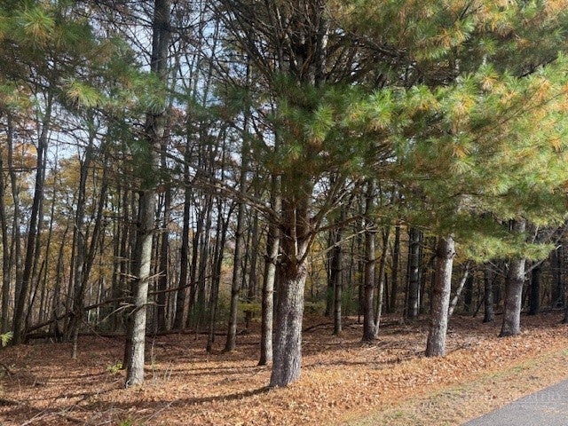 Lot 30 Woodland Shores