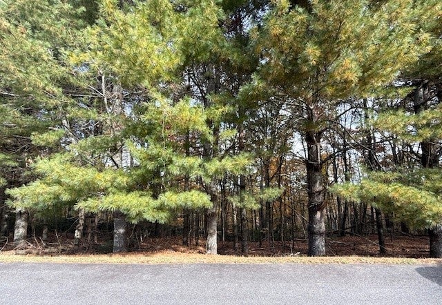 Lot 30 Woodland Shores