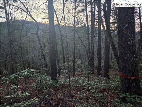 Photo of Lot 105 Roaring Ridge Road, Deep Gap, NC 28618 (MLS # 259588)