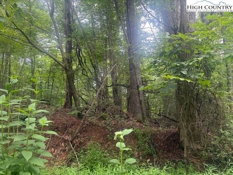 Photo of TBD Beaver Creek Drive, West Jefferson, NC 28694 (MLS # 258195)