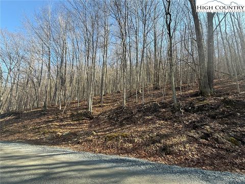Photo of 134 Locust Ridge Road, Beech Mountain, NC 28604 (MLS # 260129)