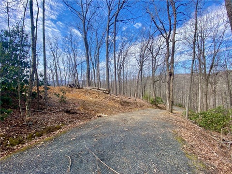 Vacant Land For Sale - TBD Old Chestnut Mountain Road<br/> Newland, NC 28657