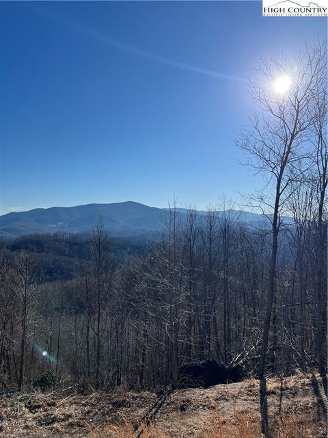 Photo of Lot #2B Falls Creek Parkway, Elk Park, NC 28622 (MLS # 260371)