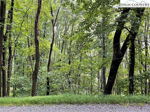 Photo of TBD Tarleton Circle, Boone, NC 28607 (MLS # 247329)