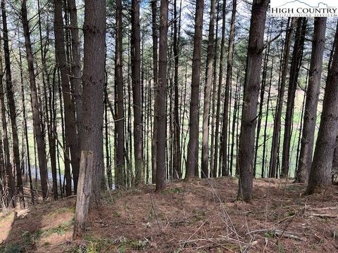 Photo of Lot #12 River Spring Road, Sugar Grove, NC 28679 (MLS # 248688)