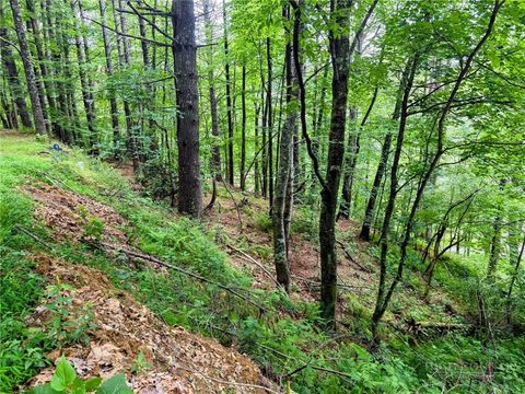 Vacant Land For Sale - TBD New River Farms Road<br/> Ashe County, Fleetwood, NC 28626