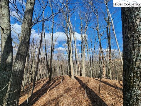 Photo of TBD Spur Cove Lane, Boone, NC 28607 (MLS # 254509)