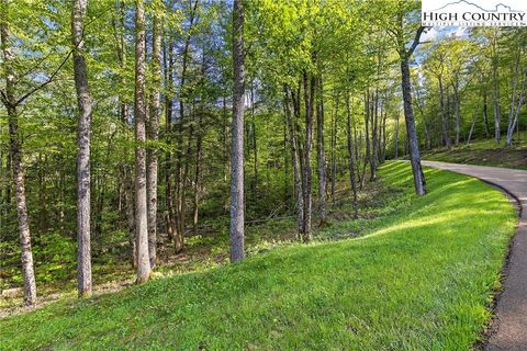 Photo of 78 Eagles Nest Trail, Banner Elk, NC 28622 (MLS # 249908)
