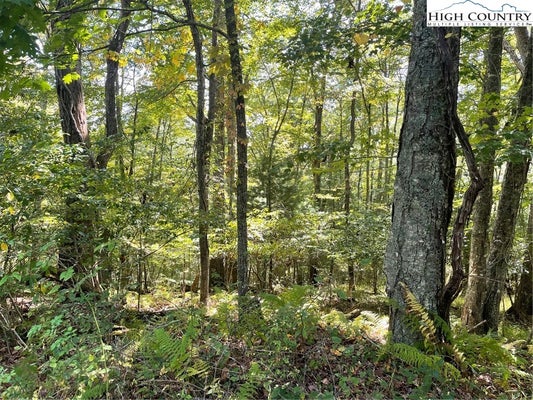 JOHNSON HILL DR, PINEY CREEK, NC 28663 - Image a069a92a4f3531e6c4c0cec8f3fb0485/176084790