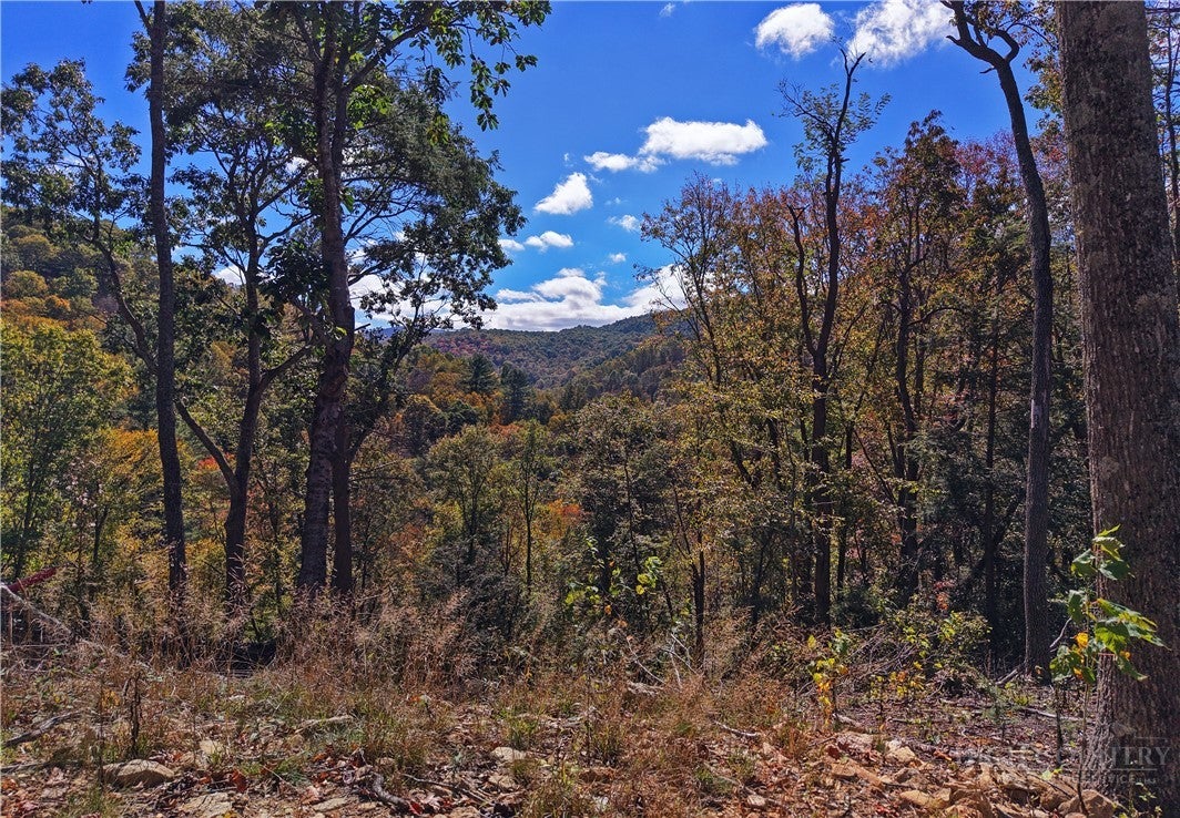C-125 Springwater Lane
