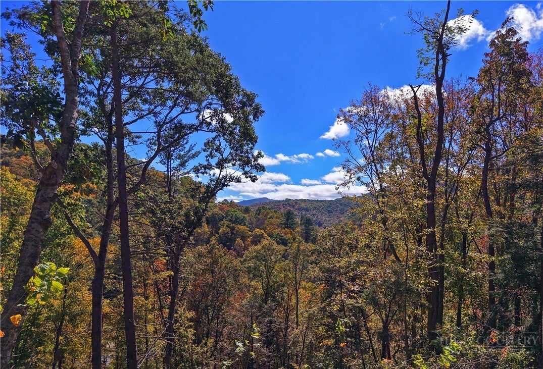 C-125 Springwater Lane