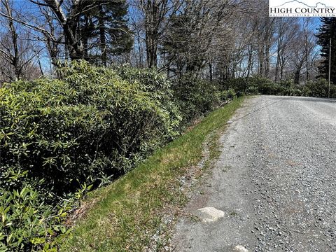 Photo of 117 Wild Daisy Lane, Beech Mountain, NC 28604 (MLS # 254685)