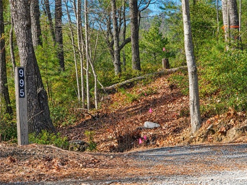 Photo of 1166 Deer Crossing Lane, Ferguson, NC 28624 (MLS # 264020)