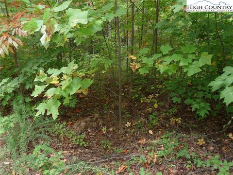 Photo of 144 Galax Drive, Black Mountain, NC 27611 (MLS # 258480)