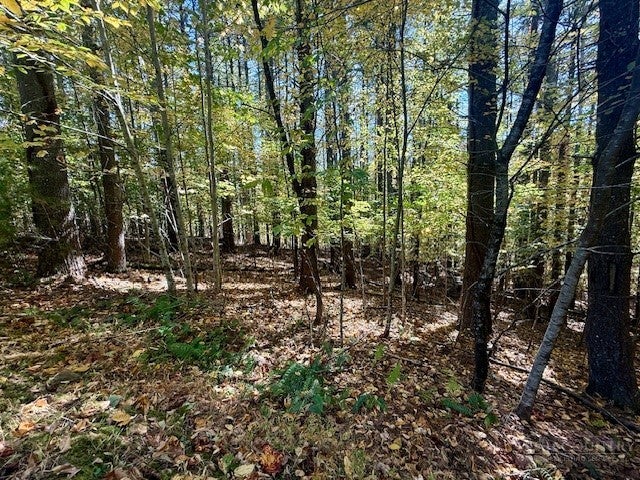 Lot 33 Woodland Valley Road