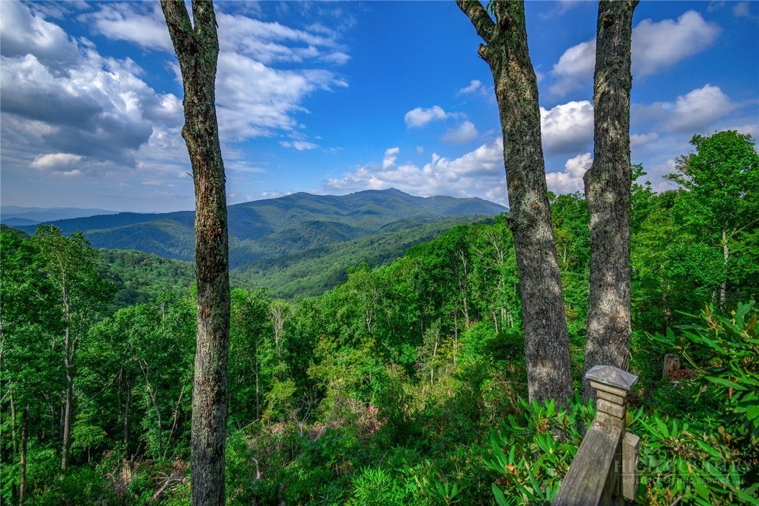 TBD Forest Trail