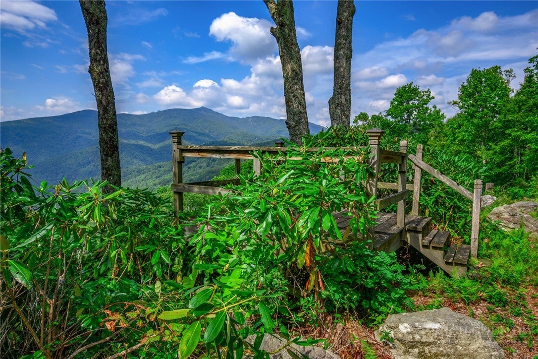 TBD Forest Trail
