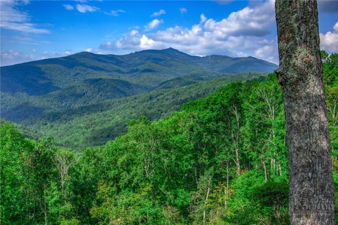 Photo of TBD Forest Trail, Blowing Rock, NC 28605 (MLS # 264984)