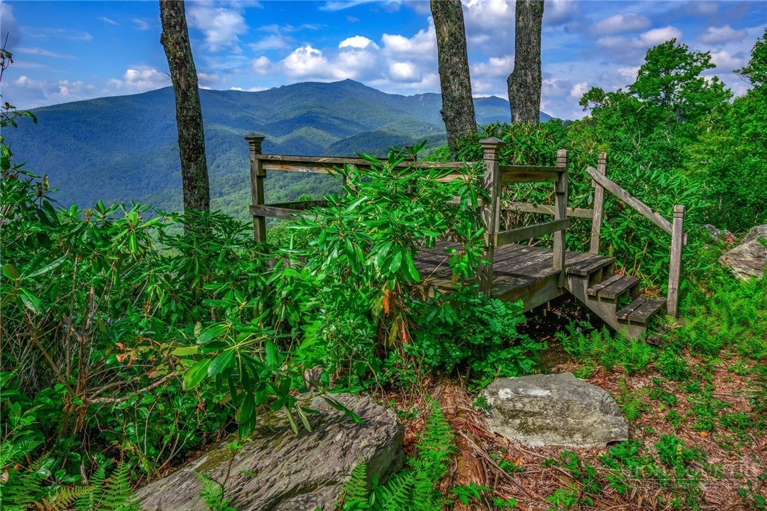 TBD Forest Trail