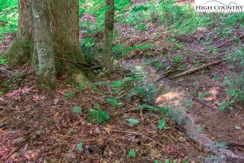 listing image 48