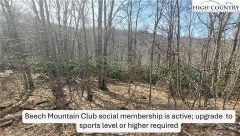 Photo of 327 Locust Ridge Road, Beech Mountain, NC 28604 (MLS # 260624)