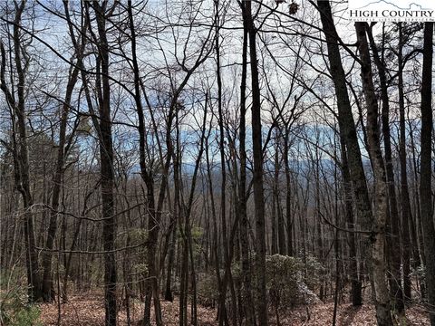 Photo of Lot 36 Bobcat Mountain Road, Purlear, NC 28665 (MLS # 259345)