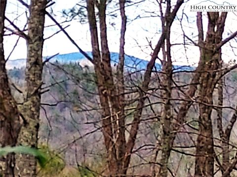 Photo of 5354 West Ridge Lane, Ferguson, NC 28624 (MLS # 259934)