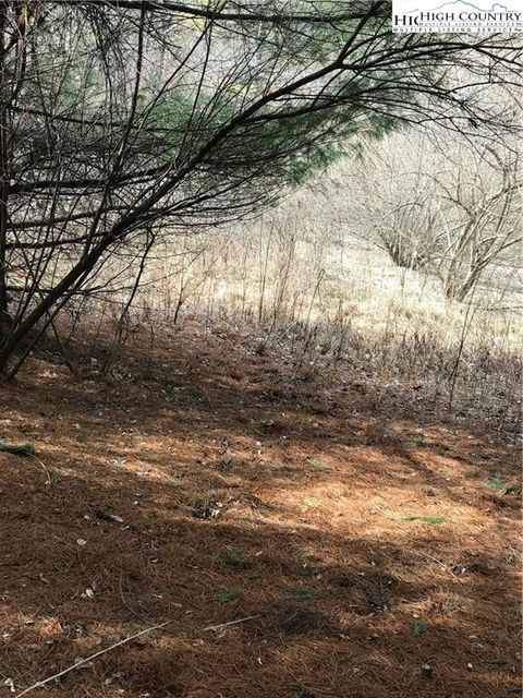 Photo of TBD Deer Path Road, Crumpler, NC 28617 (MLS # 259964)